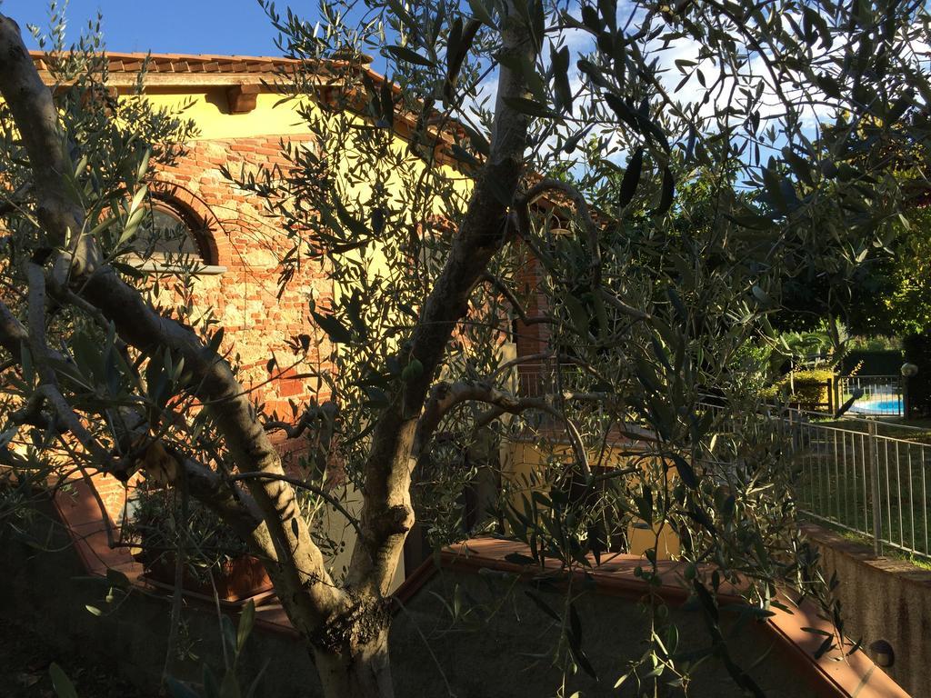 La Cantina Del Podere Dei Boni Fauglia 外观 照片